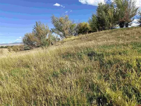 tbd 5500 Rd, Olathe, CO 81425 photo 18