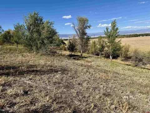 tbd 5500 Rd, Olathe, CO 81425 photo 2