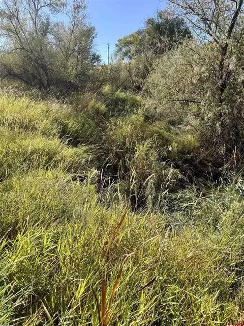 tbd 5500 Rd, Olathe, CO 81425 photo 20