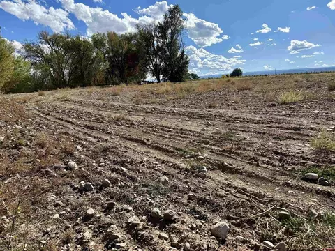 tbd 5500 Rd, Olathe, CO 81425 photo 6