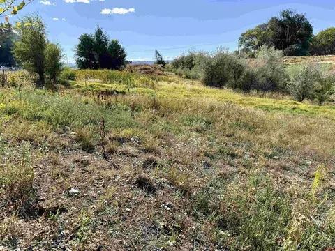 tbd 5500 Rd, Olathe, CO 81425 photo 14