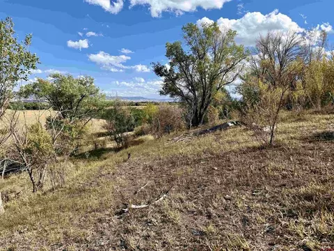 tbd 5500 Rd, Olathe, CO 81425 photo 3