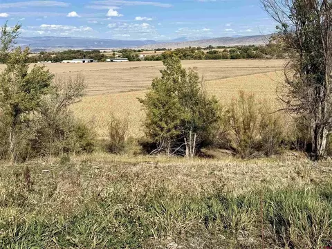 tbd 5500 Rd, Olathe, CO 81425 photo 8