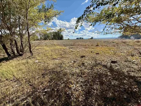 tbd 5500 Rd, Olathe, CO 81425 photo 10