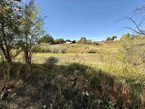 tbd 5500 Rd, Olathe, CO 81425 photo 12