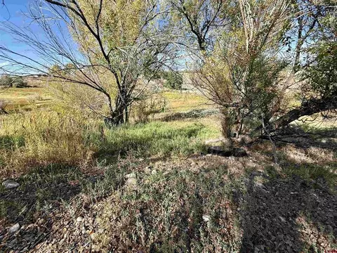 tbd 5500 Rd, Olathe, CO 81425 photo 11