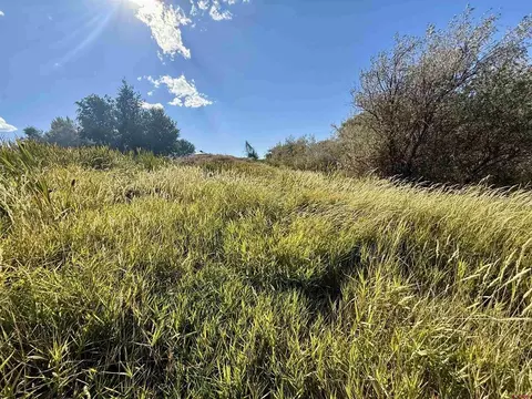 tbd 5500 Rd, Olathe, CO 81425 photo 21
