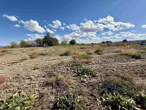 tbd 5500 Rd, Olathe, CO 81425 photo 23