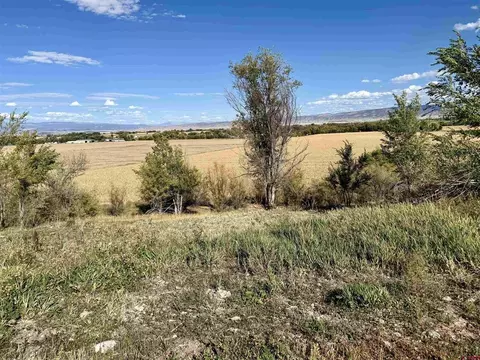 tbd 5500 Rd, Olathe, CO 81425 photo 7