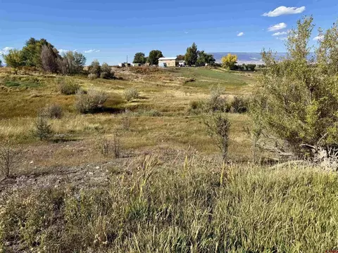 tbd 5500 Rd, Olathe, CO 81425 photo 15