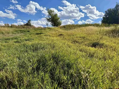 lot3 5500 Rd, Olathe, CO 81425