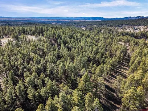 5561 County Road 228, Durango, CO 81301 photo 10