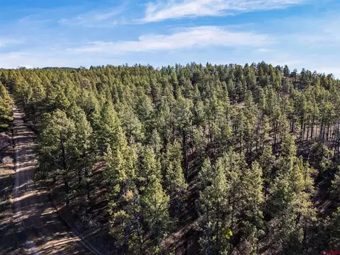 5561 County Road 228, Durango, CO 81301 photo 14