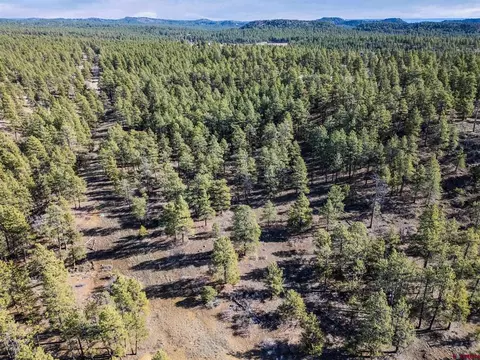 5561 County Road 228, Durango, CO 81301 photo 11