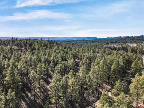 5561 County Road 228, Durango, CO 81301 photo 13