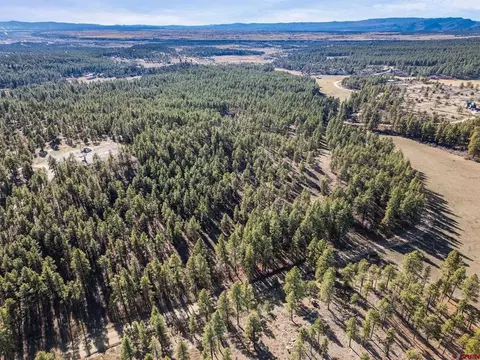 5561 County Road 228, Durango, CO 81301 photo 5