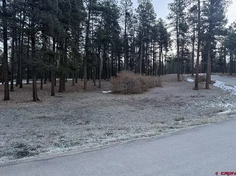 lot74 Beaver Creek Dr, Bayfield, CO 81122