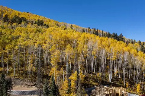 97 Catharsis Ct, Durango, CO 81301 photo 6