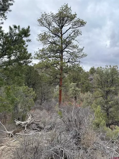 1479 La Posta Canyon Rd, Durango, CO 81303