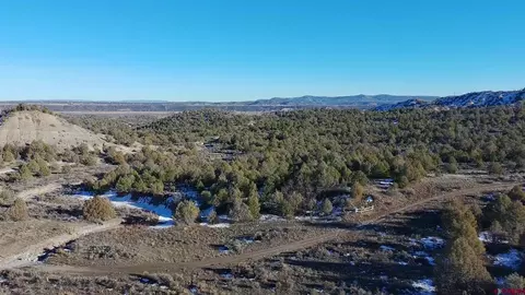 1479 La Posta Canyon Rd, Durango, CO 81303 photo 4