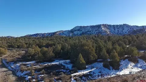 1479 La Posta Canyon Rd, Durango, CO 81303 photo 9