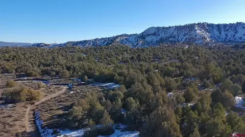 1479 La Posta Canyon Rd, Durango, CO 81303 photo 7