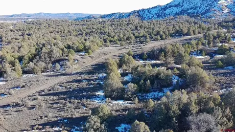 1479 La Posta Canyon Rd, Durango, CO 81303 photo 6