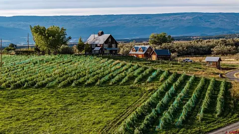 26573 North Rd, Hotchkiss, CO 81419