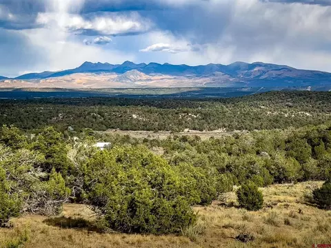 tbd Road 35, Mancos, CO 81328
