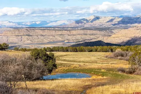 53999 Bull Basin Rd, Collbran, CO 81643