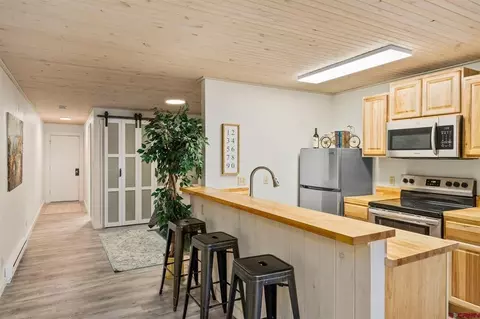 Other - 35 Emmons Rd #A, Crested Butte, CO 81225 photo 3 of 6