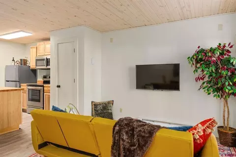 Living - 35 Emmons Rd #A, Crested Butte, CO 81225 photo 3 of 5
