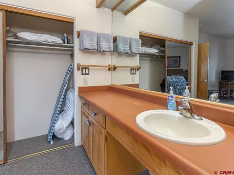Other - 117 Needles Way #421, Durango, CO 81301 photo 2 of 15