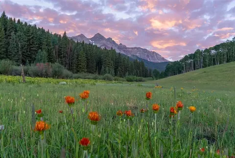 tbd Sunshine Mesa Rd, Telluride, CO 81435