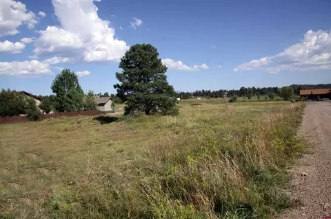 49 Paradise Dr, Pagosa Springs, CO 81147