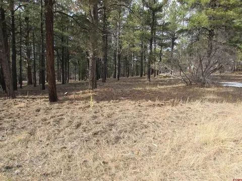 424 Antelope Ave, Pagosa Springs, CO 81147
