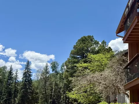 Other - 34237 N Highway 550 # 27, Durango, CO 81301 photo 12 of 13
