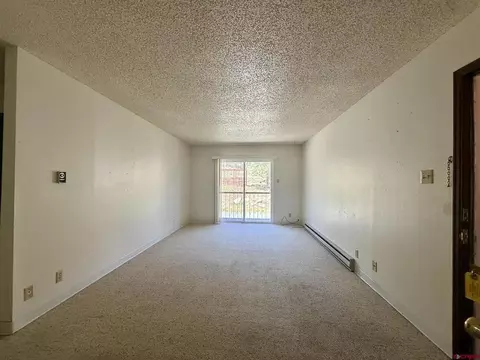 Living - 34237 N Highway 550 # 27, Durango, CO 81301 photo 3 of 3