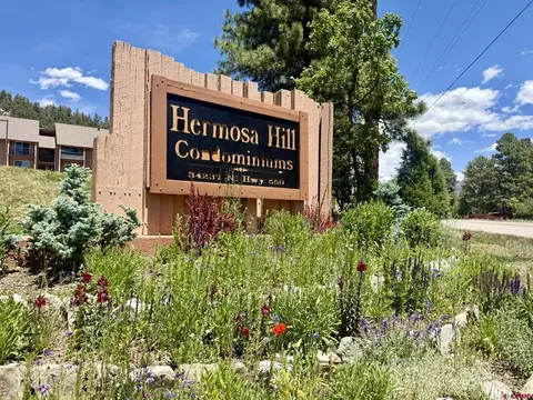Other - 34237 N Highway 550 # 27, Durango, CO 81301 photo 9 of 13
