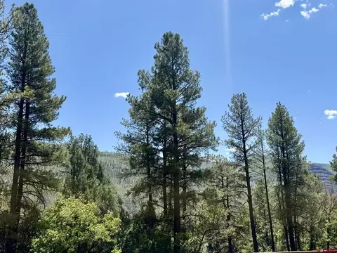 Other - 34237 N Highway 550 # 27, Durango, CO 81301 photo 10 of 13