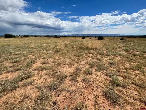 tbd Road 25, Dolores, CO 81323