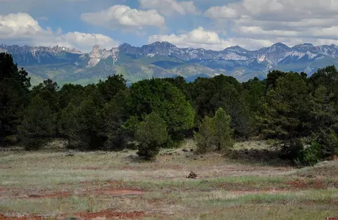 tbd Ponderosa Dr, Ridgway, CO 81432