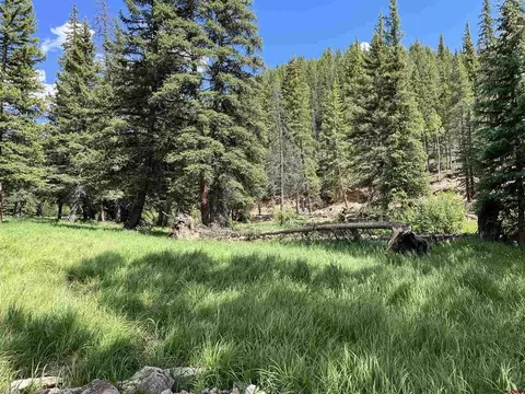 tbd 11th St, Pitkin, CO 81241 photo 5