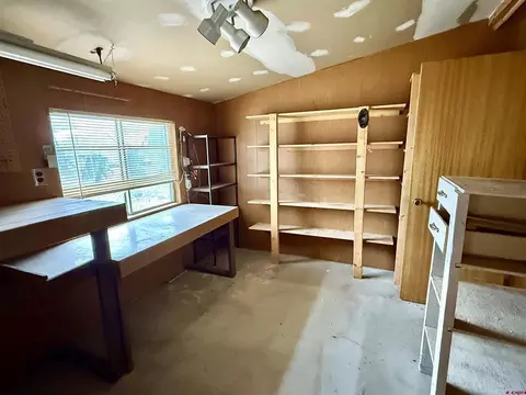 Other - 110 SEagle Ave, Cedaredge, CO 81413 photo 5 of 12