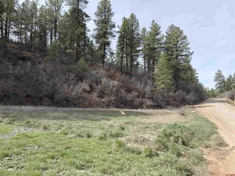 267 River Run Dr, Pagosa Springs, CO 81147