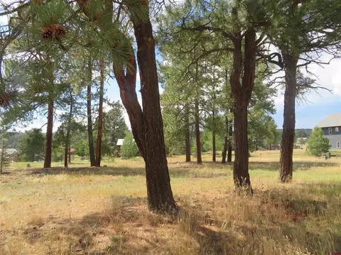 142 Hatcher Cir, Pagosa Springs, CO 81147