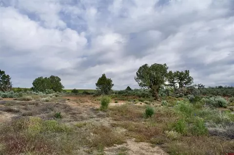 lot1 Road 243, Cortez, CO 81321