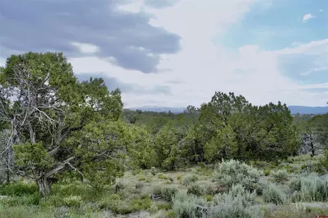 lot2 Road 243, Cortez, CO 81321