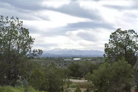 lot3 Road 243, Cortez, CO 81321