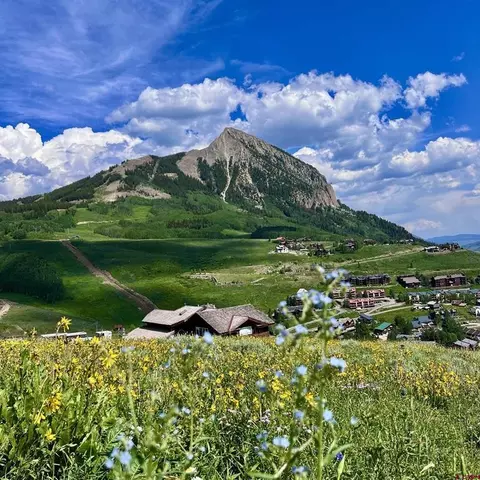 20 Buttercup Ln, Crested Butte, CO 81225